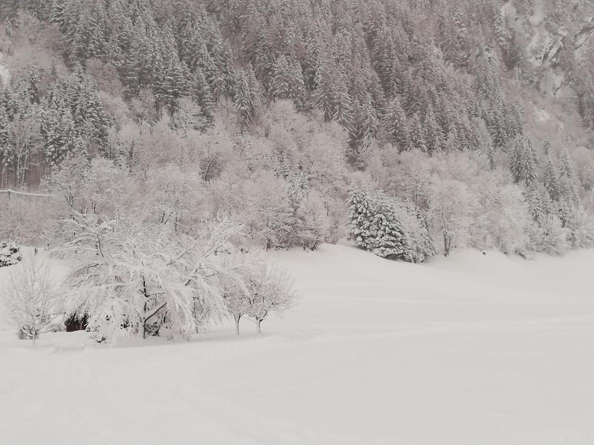 Ferienwohnungen Egger Mayrhofen Exterior foto